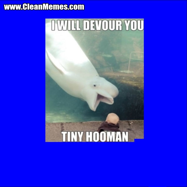 IWillDevourYouTinyHooman