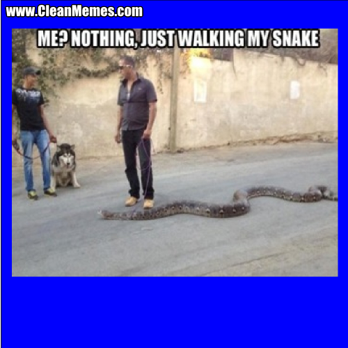 JustWalkingMySnake