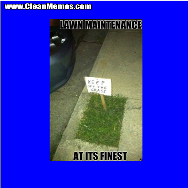 LawnMaintenanceAtItsFinest