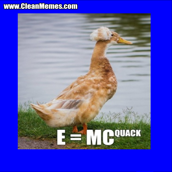 McQuack