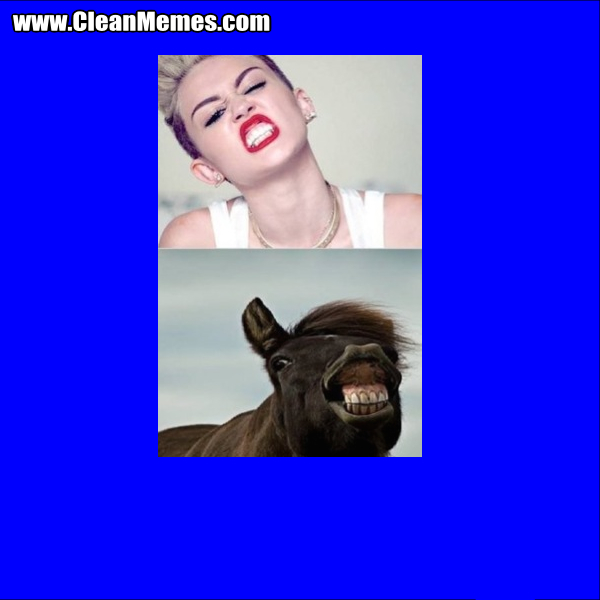 MileyHorse