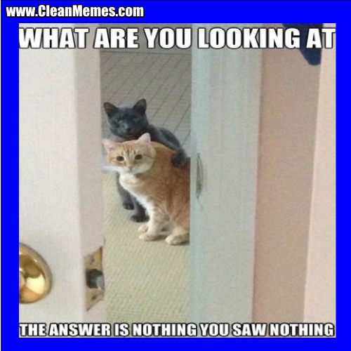 NothingYouSawNothing