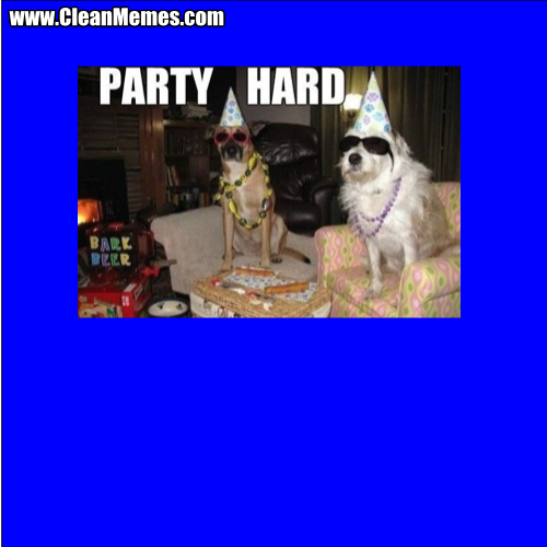 PartyHardDogs