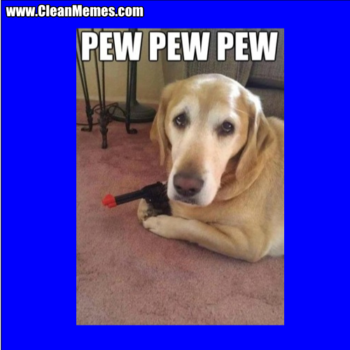 PewPewPewDog