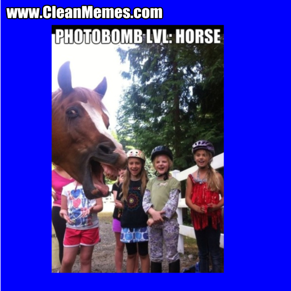 PhotobombLVLHorse
