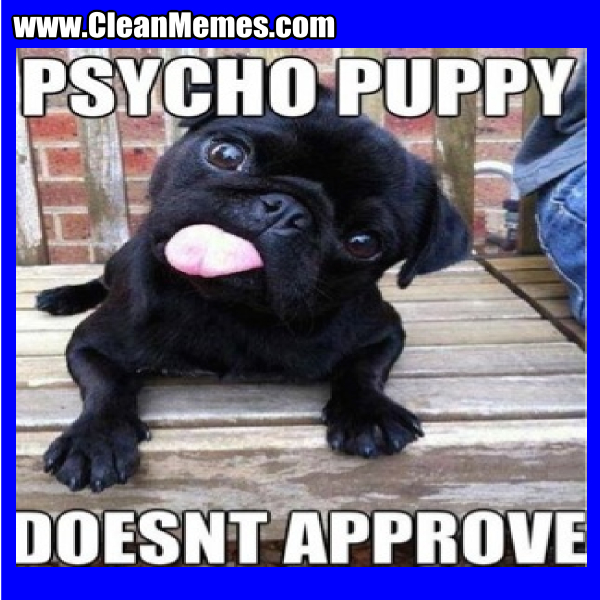 PsychoPuppyDoesntApprove