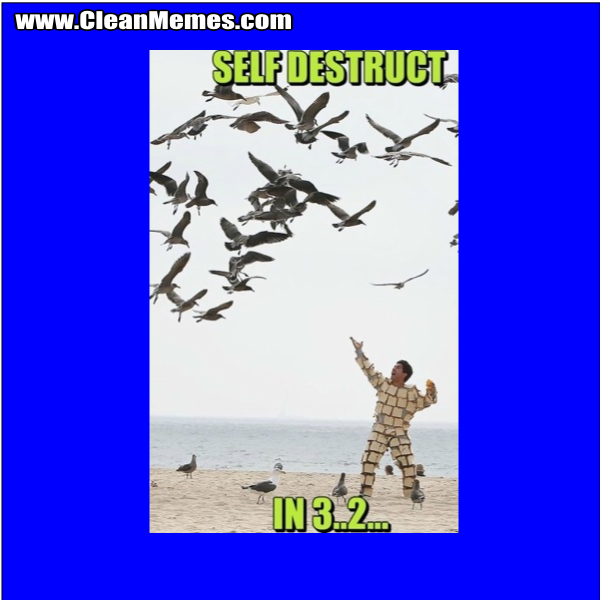 SelfDestruct