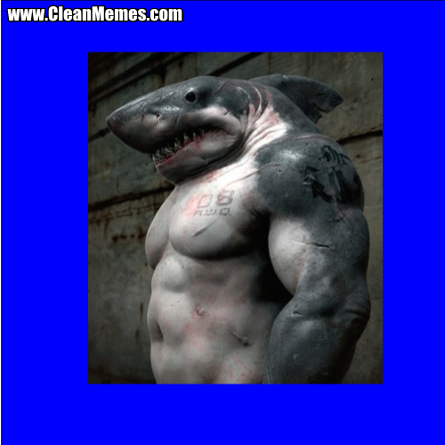 SharkBodyBuilder