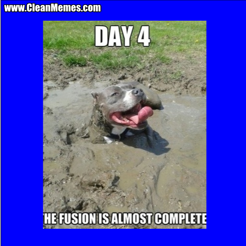 TheFusionIsAlmostComplete