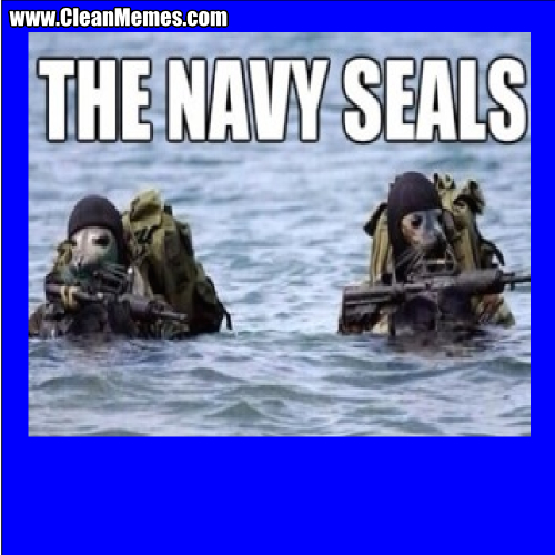 TheNavySeals