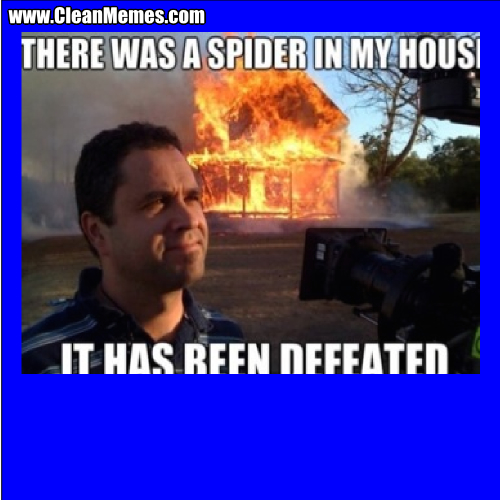ThereIsASpiderInMyHouse