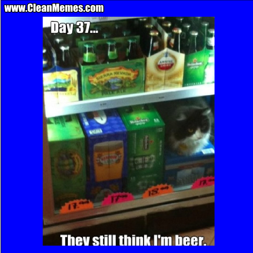 TheyStillThinkImBeer