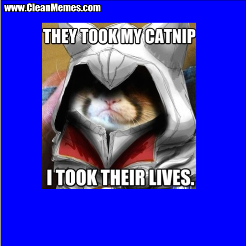TheyTookMyCatnipItookTheirLives