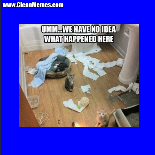 WeHaveNoIdeaWhatHappenedHere