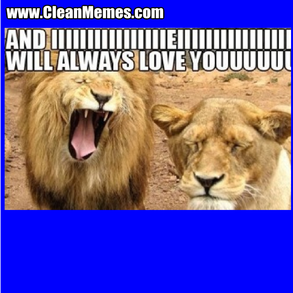WillAlwaysLoveYouLions