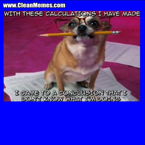 WithTheseCalculationsIHaveMade