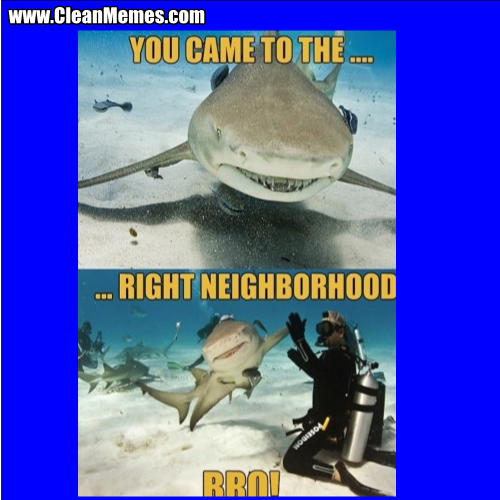 YouCameToTheRightNeighborhoodBro