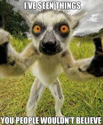 YouPeopleWouldntBelieve