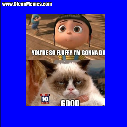 YoureSoFluffyImGonnaDie