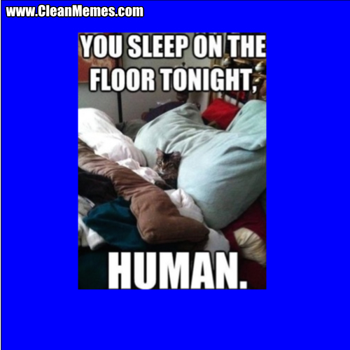 YouSleepOnTheFloorTonight