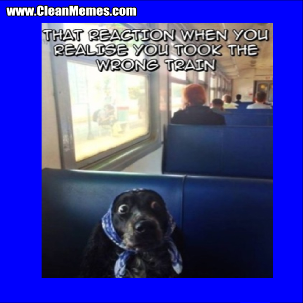 YouTookTheWrongTrain