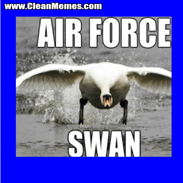AirForceSwan