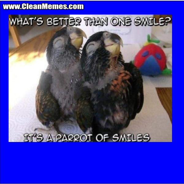 AParrotOfSmiles