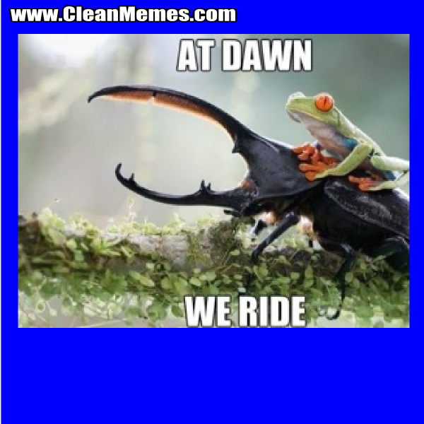 AtDawnWeRide