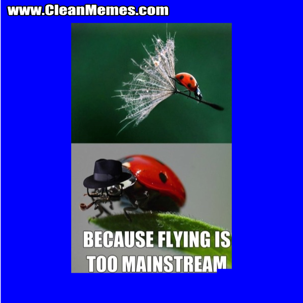 BecauseFlyingIsTooMainstream