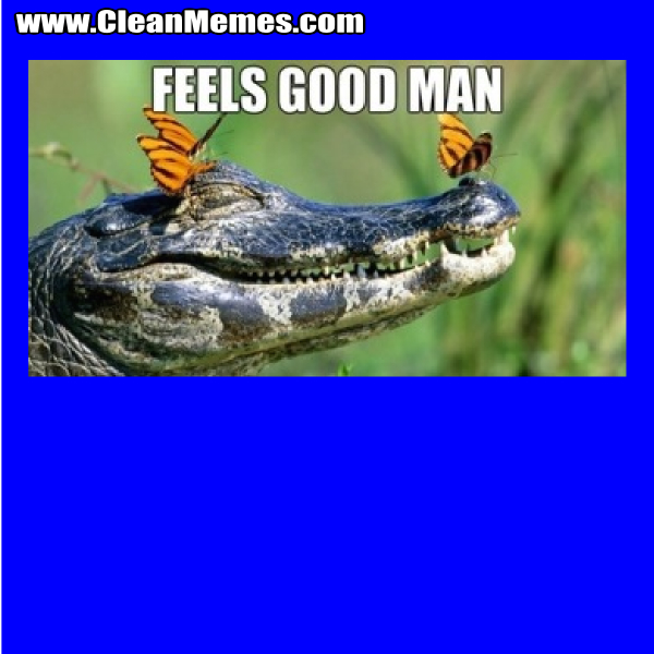 FeelsGoodManGator