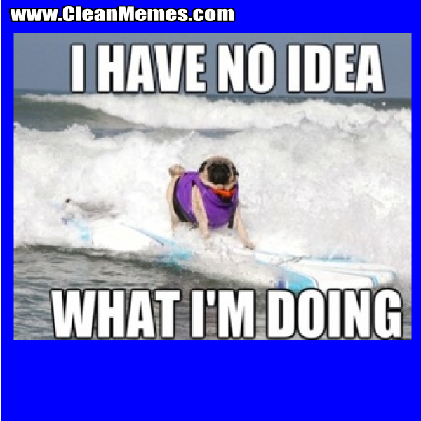 IHaveNoIdeaWhatImDoing