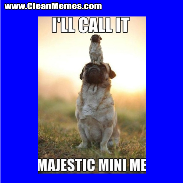 MajesticMiniMe