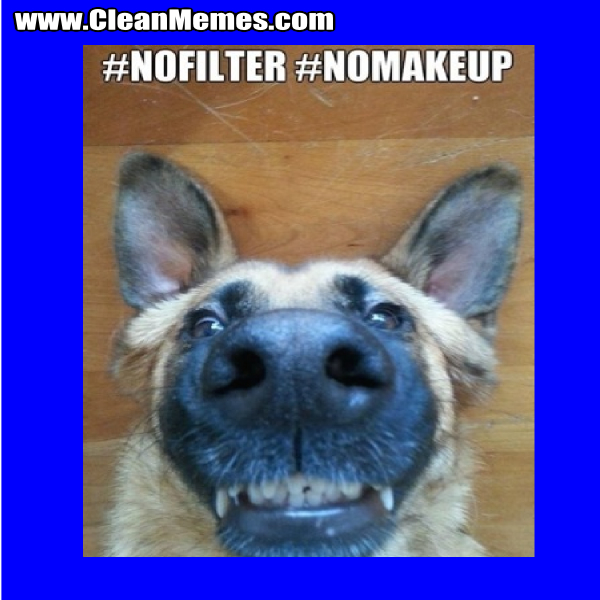 NoFilterNoMakeupDog