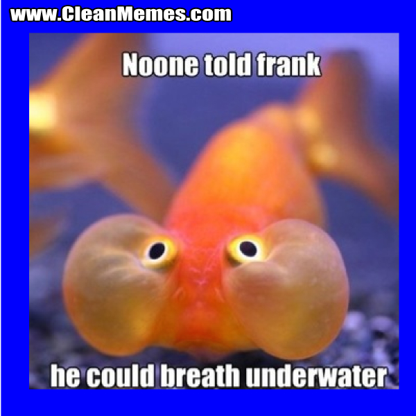 NooneToldFrank