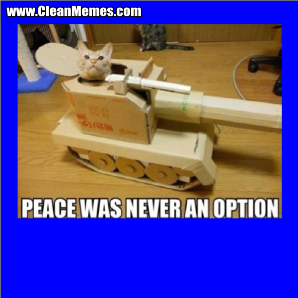 PeaceWasNeverAnOption