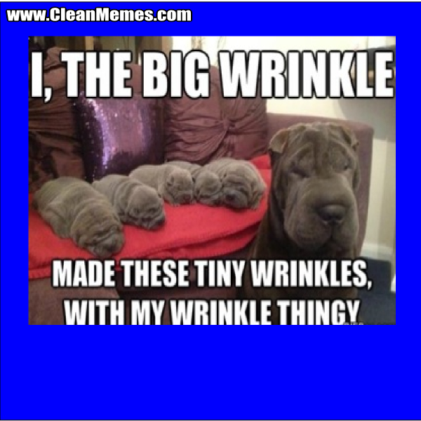 TheBigWrinkle