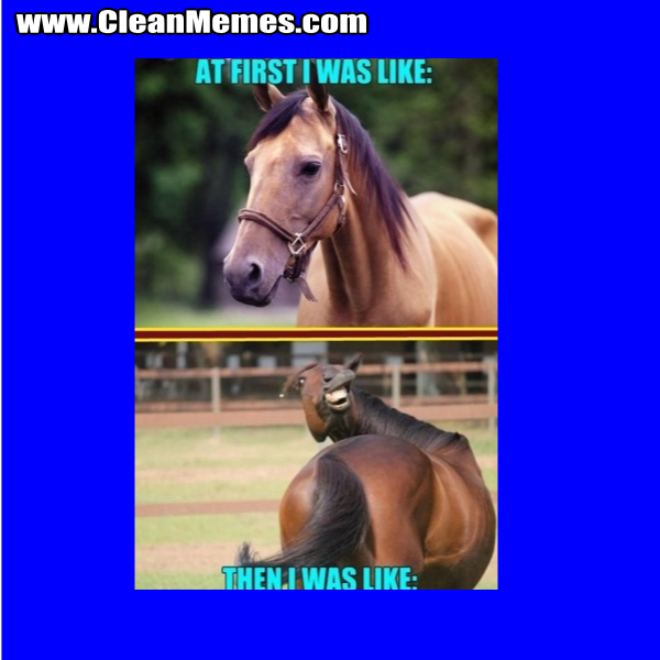 ThenIWasLikeHorse