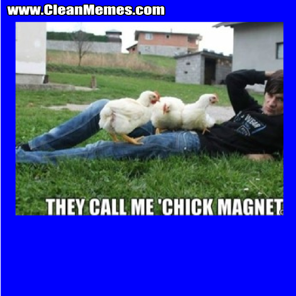 TheyCallMeChickMagnet