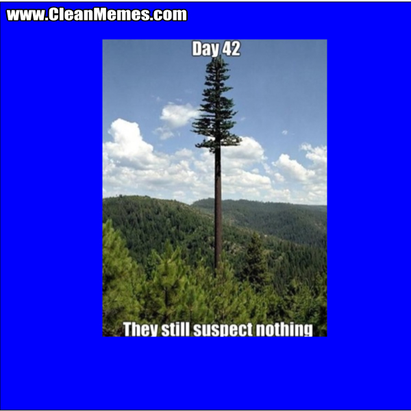 TheyStillSuspectNothingTree