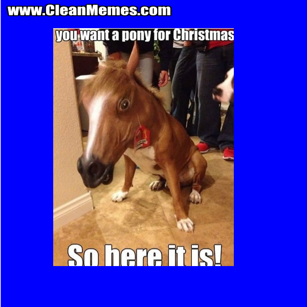 YouWantAPonyForChristmas