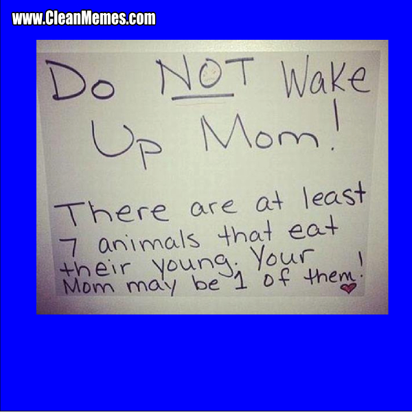 DoNotWakeupMom