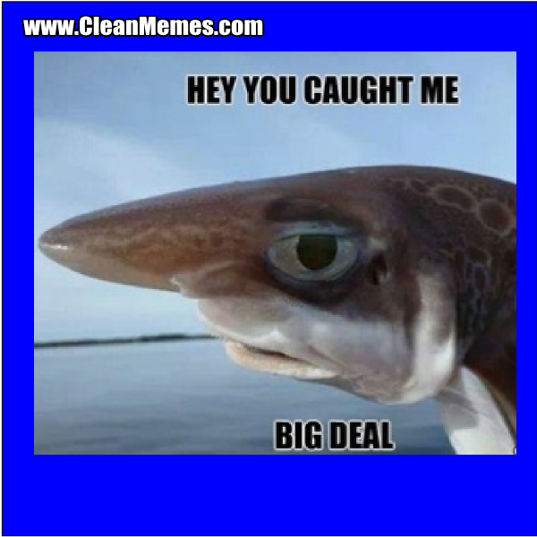 HeyYouCaughtMeBigDeal