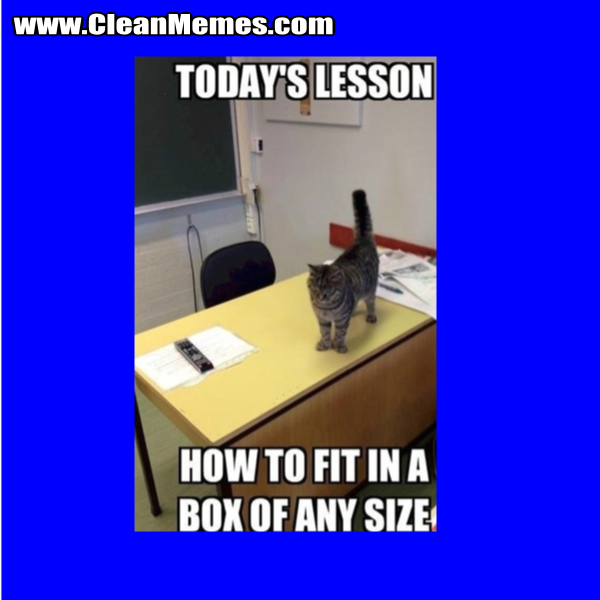 HowToFixInABoxOfAnySize