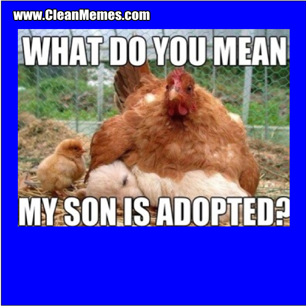 MySonIsAdopted