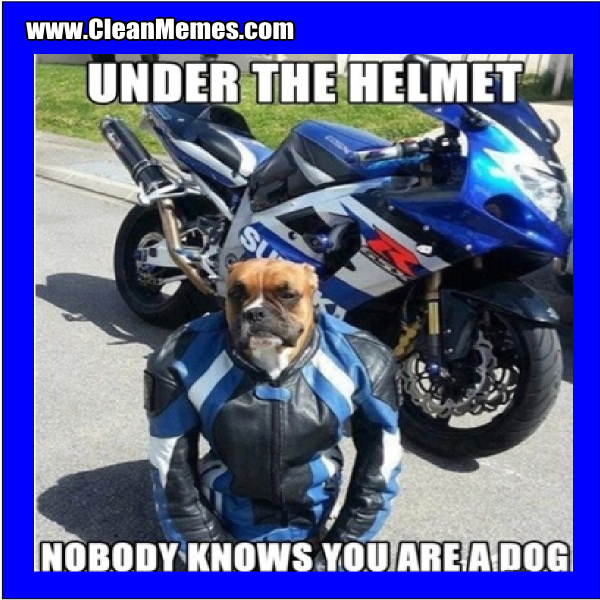 NobodyKnowsYouAreADog