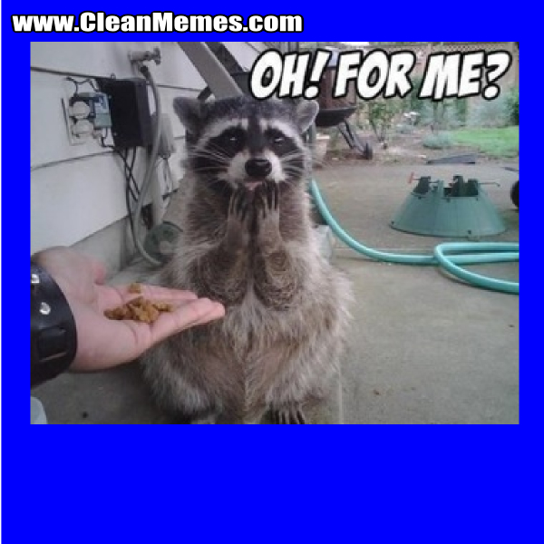 OhForMeCoon