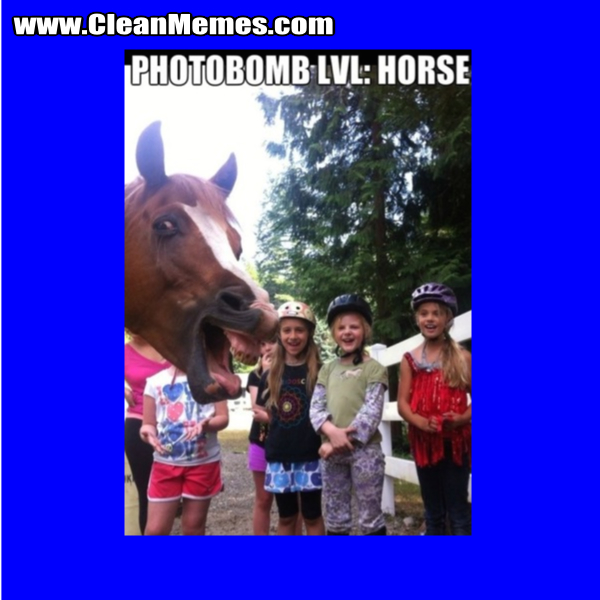 PhotobombLVLHorse