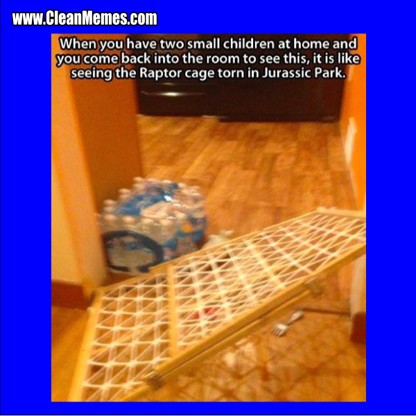 RaptorCage