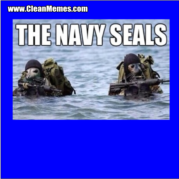 TheNavySeals