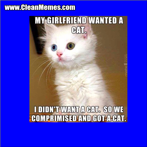 GirlFriendWantedACat